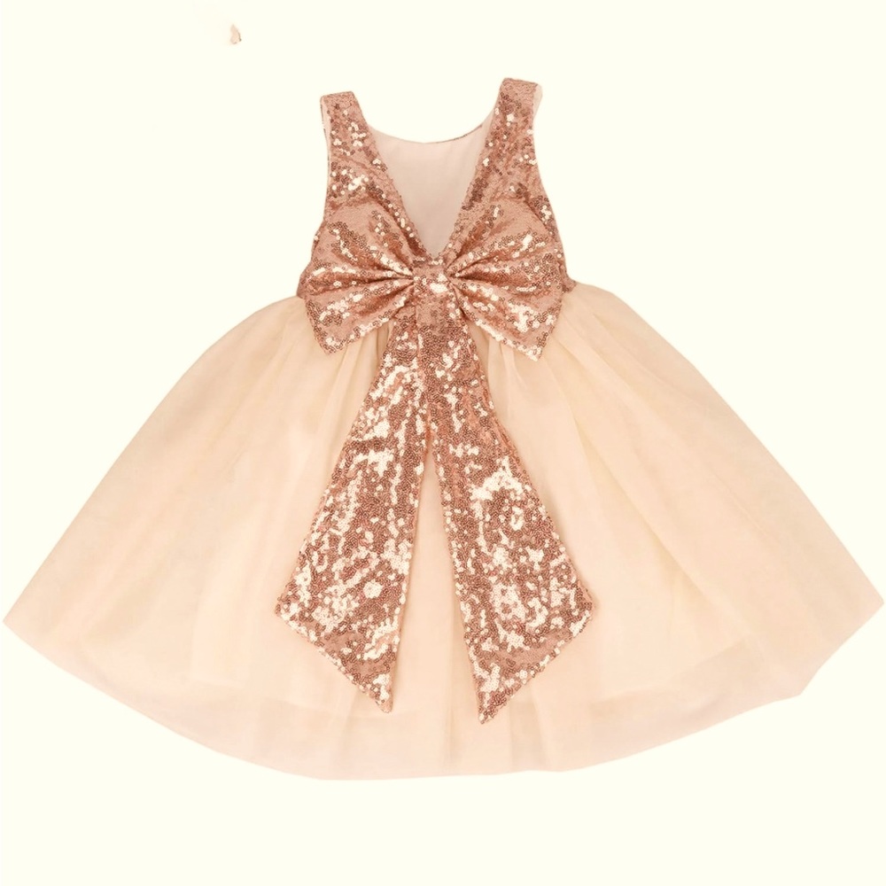 Flower Girl/New Year’s Eve/Party Dress -5T